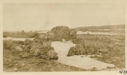 Image of Wolf trap built by the Tunit, a fabled race, fifty miles north of Bowdoin Harbor